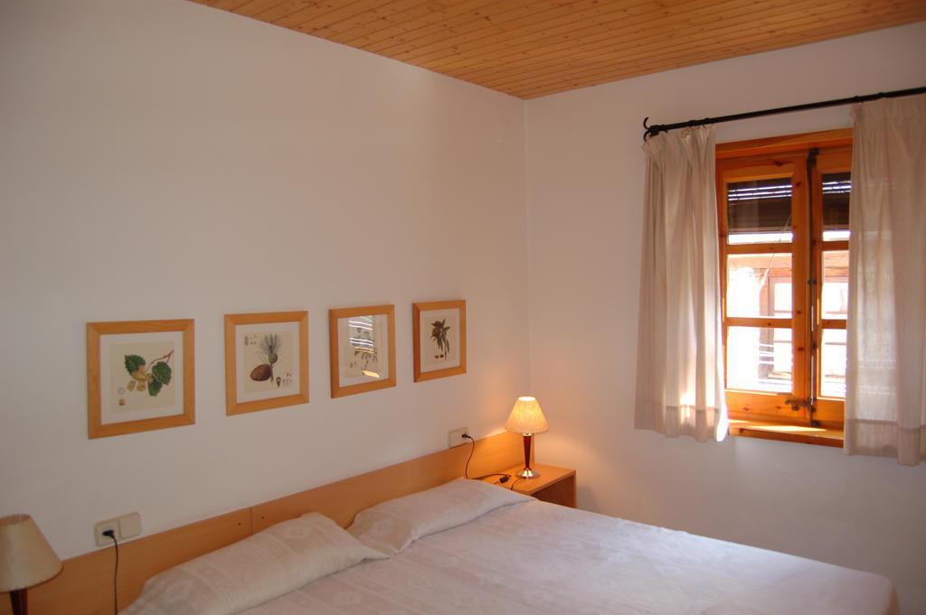 Apartaments Vall Ferrera Areu 部屋 写真